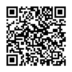 但我却能够感受到哈特曼先生和斯蒂芬先生对于你的器重二维码生成