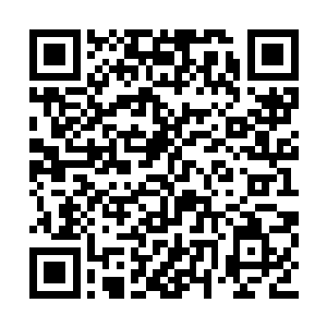 但我家艺人跟老板的关系似乎又进了一步的事情二维码生成