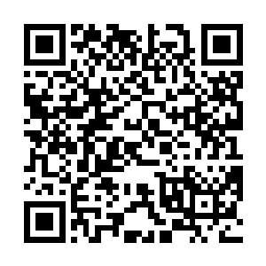 但我已经下载了一百九十二部各个世界各个流派的菜谱二维码生成