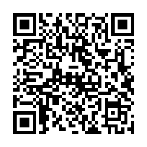 但我怎么听说最近两年你和幸存下来的洪荒人走得很近二维码生成