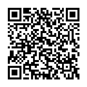 但我本来就没指望这么容易就能够弄死拉斯妮娜二维码生成