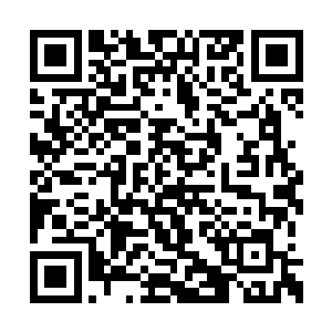 但我的弟弟已经将你的人界所有信徒全部杀光了二维码生成
