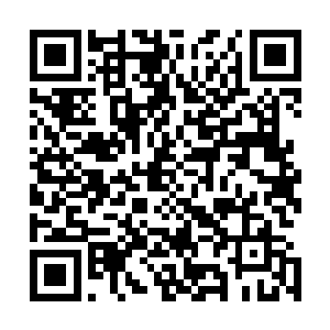 但我要说的是虽然苏叶出演为我们剧组多加了十一万的费用二维码生成