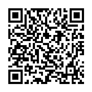 但我觉得您不应该试试我自己的酒庄出产的红葡萄酒二维码生成