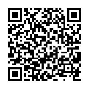 但我讨厌带着一群只知道杀戮和破坏的蠢货作战二维码生成