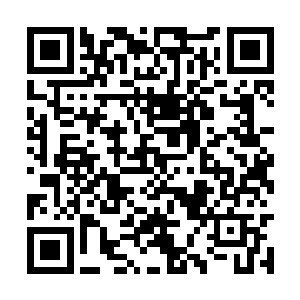 但我还是对自己的弟子和封寮主你的胜负更有兴趣二维码生成