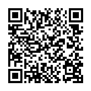 但战公子……老祖说战公子乃是横空出世的纹师天才二维码生成