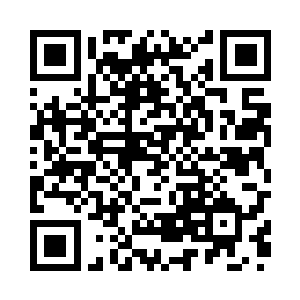 但战力毫不逊于帝国主力军团将军们的卫队二维码生成