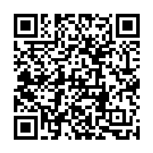 但所剩下的这一大截树干却是在星空飘荡之中遭逢奇遇二维码生成