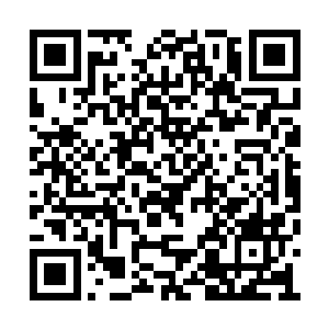 但所有人都注意到狼灭盯着苏落的眼神有些变了二维码生成