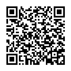 但手臂上却奇迹般佩戴着一门磁爆步兵使用的电浆炮二维码生成