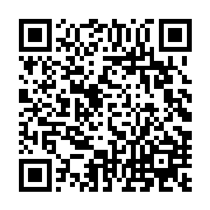 但抵抗者联盟的综合实力并不强大至少和洪潮相比是这样的二维码生成