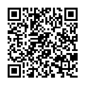 但拒北城议事堂在年轻藩王和诸位武将大佬商议过后二维码生成