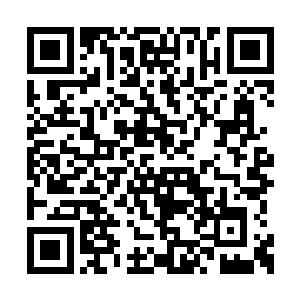 但拳王正在切断这个虚拟世界的语音和声效支持二维码生成