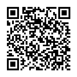 但持着师傅赠给自己的翻天印帮助商纣王来对抗西岐二维码生成
