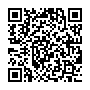 但挤一挤的话装下整个年级的所有师生还是没问题的二维码生成