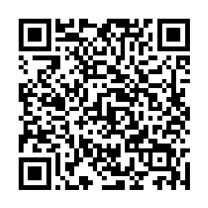 但据说南方巫师联盟的人试图开拓了几次伐木森林二维码生成