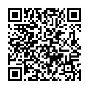 但接下来汉克用一种自暴自弃的语气所说的一句话二维码生成