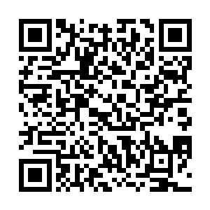 但摆放在夏云杰等人面前的盘子里却只有孤零零的一个二维码生成