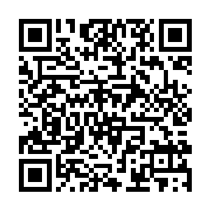 但操控着豹女的选手mc姿态却始终没见有多大警惕二维码生成