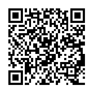 但放眼大世界众多学院这个水平线来说只能算是中等二维码生成