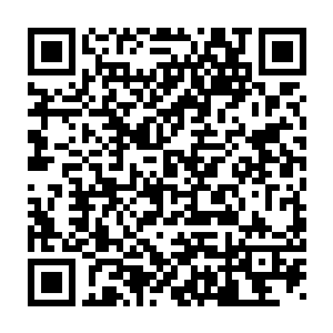 但整个人身上的气息犹如还滴着血的杀人之刀的大地骑士也站了出来二维码生成