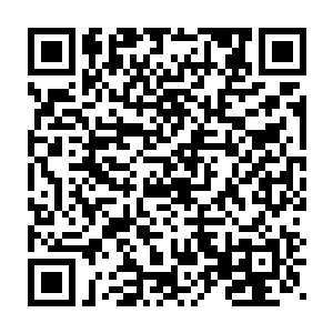 但整个情况却好像是大家都在起哄雨果和桑德拉快点交往的那种感觉二维码生成