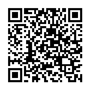 但新婚的磨合中她有点把握到夫君外柔内刚的性情二维码生成