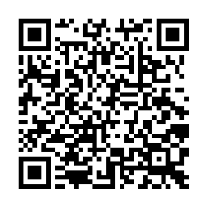 但新的犯人也会源源不断地被变成玩具补充进来……二维码生成
