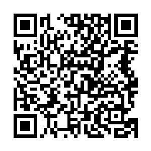 但无法看清楚一对洁白的羽翼以难以想象的度挤压着空气二维码生成