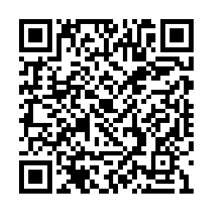 但无论是他还是另外一人都没有丝毫惧怕的神色二维码生成