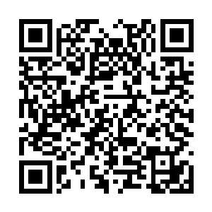 但早已经对张东城死心踏地的唐烟什么都不用想了二维码生成