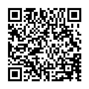 但明显不是真正意义上的兽化……顶多只能算是类似的秘术二维码生成