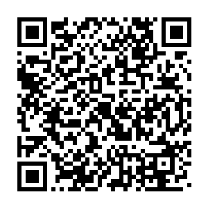 但明显这些人并不是崔家派来的……崔家就算是真的脑袋被门板夹了二维码生成