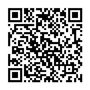 但昨晚发生在大学城环线高架上惊心动魄的赛车比斗二维码生成