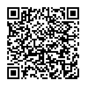 但是……但是想到之前小少年一百招之内就踹的四长老趴地上啃泥巴……好吧二维码生成