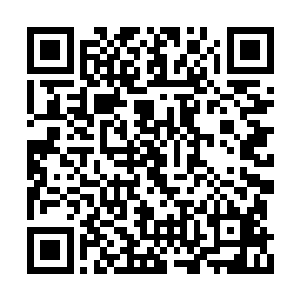 但是……那个冯利宏曾经在泰国学过五年的泰拳二维码生成