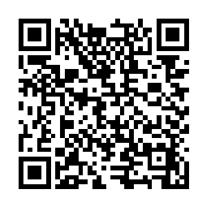 但是…我凭什么相信你半个时辰你不会做什么手脚二维码生成