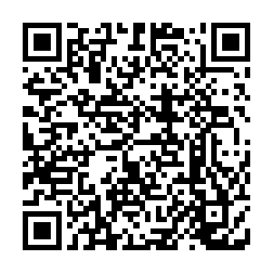 但是…王妃所说的那个那天第一个冲进栖霞公主房里的丫头并不是栖霞公主的人二维码生成