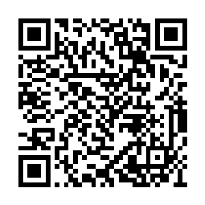 但是一个不能够修炼的嫡系弟子是得不到尊重的二维码生成