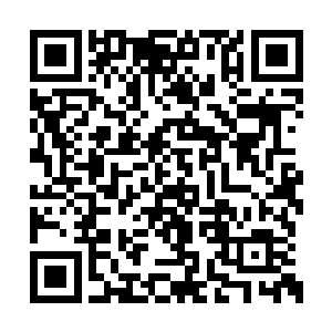 但是一个人出丑总比在你们这些人面前出丑好吧二维码生成