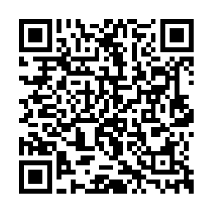 但是一个被连环杀手名义通缉过的人整天玩游戏二维码生成