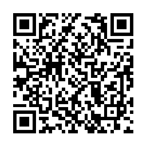 但是一双手却紧紧地抓住那只六臂螳螂的两只前臂二维码生成
