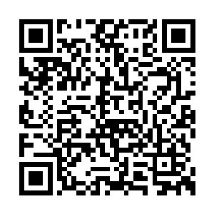 但是一双牛眼却依然死死的盯着前面的五个大汉二维码生成