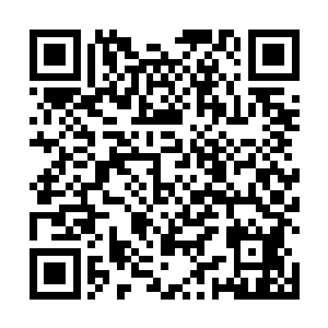 但是一想到可能晚到一会儿凌菲他们会遭受的灭顶之灾二维码生成