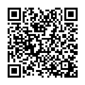 但是一眼就认出了那里是曾经她和龙战到过的地方二维码生成