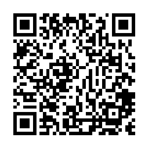 但是一身的武功和苍茫山众人十几年的悉心教导也不是假的二维码生成