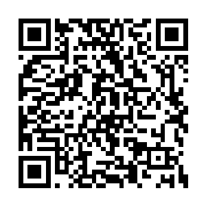 但是丁主任这边根本就没有给与什么说话的机会二维码生成