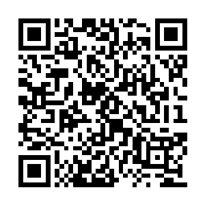 但是丁羽在自己这里并没有任何趾高气昂的表现二维码生成