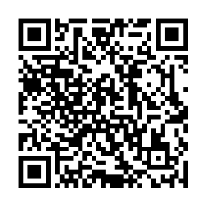 但是丁长生还是不愿意相信到现在仲家还在怨恨谢家二维码生成